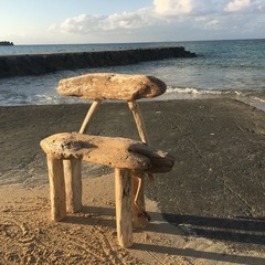 流木の椅子