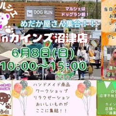6/8（日）カインズ沼津　めだかイベント