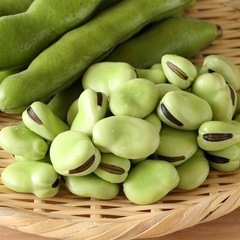 そら豆差し上げます。