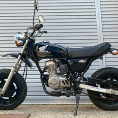 ホンダ　Ａｐｅ　２００８年式　ＡＣ１６　インジェクション　ノーマル　ブラックの画像