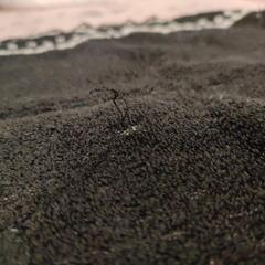 【未使用品】アナスイ レース付きの大判ハンカチの画像