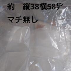ビニール袋　50枚