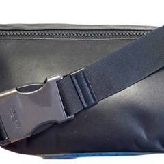 COACHの画像