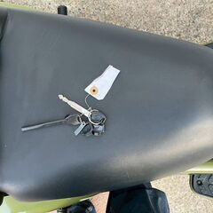ホンダ　ＰＳ２５０　ＭＦ０９　　２００４年式　初期型　ヘッドライトカスタム　カーキの画像