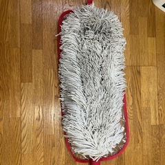 ロングダスターの画像
