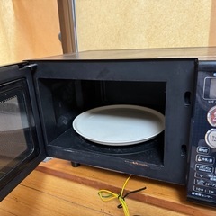 電子レンジ2016年代の画像