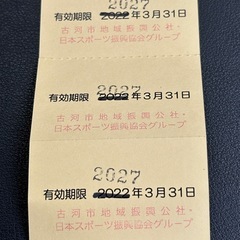 古河市 中央運動公園 トレーニングルーム 回数券 11枚分の画像