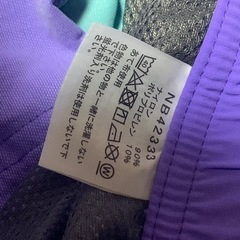 THE NORTH FACE ショートパンツ 紫/ターコイズ　XLの画像