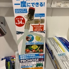 アクアリウム  水槽 熱帯魚 メダカの画像