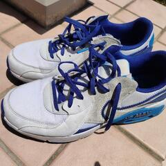 ナイキ　AirMAX　27.5cm　の画像