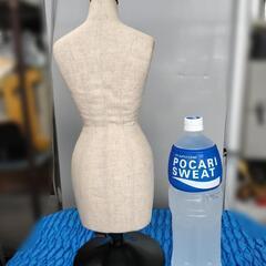 トルソーの画像