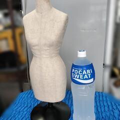 トルソー