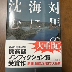 対馬の海に沈む