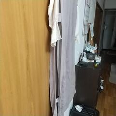 ワンピースの画像
