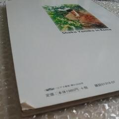 【付属DVD未開封】初版 別冊JUNON DVD Photo Book 「MIRAI」釈由美子 in Roma ★希少の画像