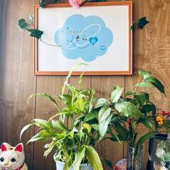 週1日～！1日4時間～！無資格・未経験OK！事務スタッフの画像