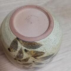 新品未使用  湯呑みの画像