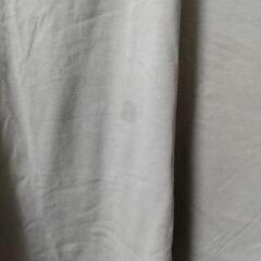 INGNITシャツの画像