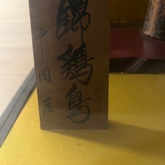 剥製　はく製　錦鶏鳥　　の画像