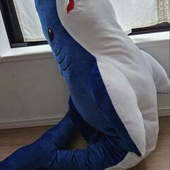 サメ