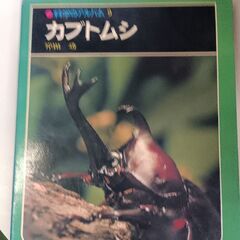 (古本)カブトムシ