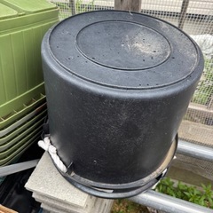 メダカ、金魚に使っていた容器
