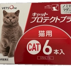 キャットプロテクトプラス 6本