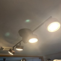 照明