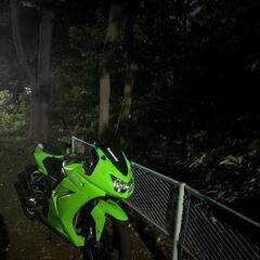 Kawasaki ninja 250r