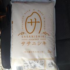 ササニシキ　五キロ