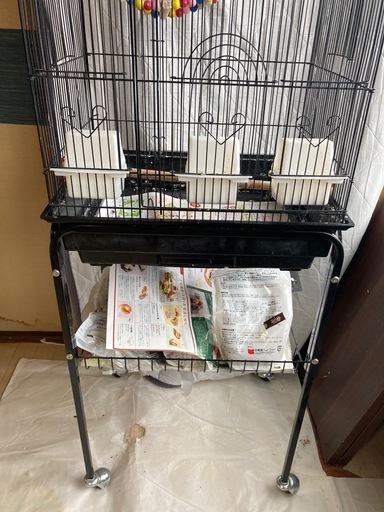 インコ　鳥　ゲージ