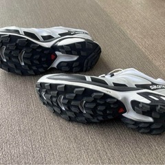 salomon xt-wing2 27cmの画像