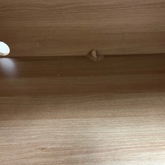 板の端材　無料で差し上げます