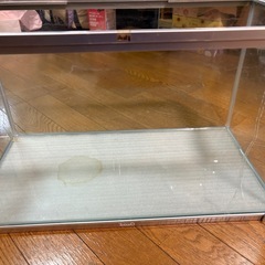 tetra 水槽