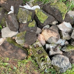 庭石