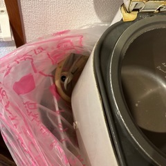 ガスの炊飯器