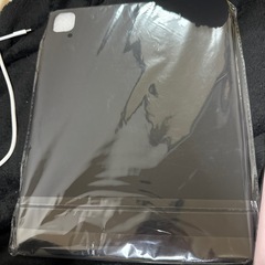 ipadℙ𝕣𝕠13ーinケース