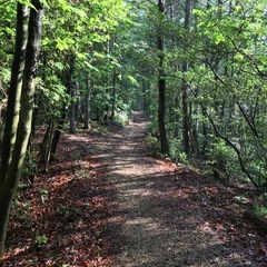 近くの低山を一緒に登ってくれる方