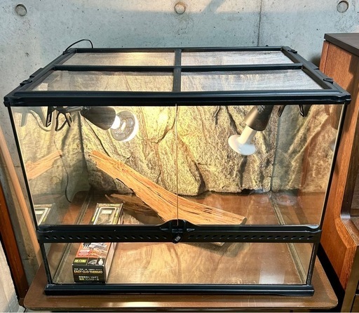 ＧＥＸ　エキゾテラ　グラステラリウム　６０４５セット販売