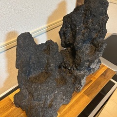 ADA 雲山石　アクアリウム