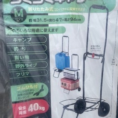 折りたたみキャリーの画像