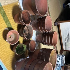 早めの引き取り希望　植木鉢バラ可の画像