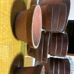 早めの引き取り希望　植木鉢バラ可の画像