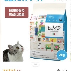 ELMO エルモ　キャットフード2kgの画像
