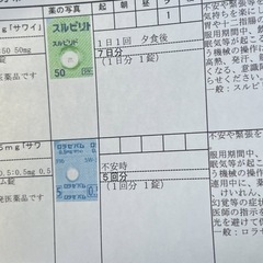 うつ病 不安障害などの精神疾患を持ってる方と話し合いたいです - 大和市