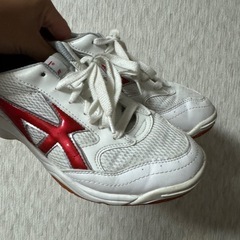 体育館シューズ 26cm