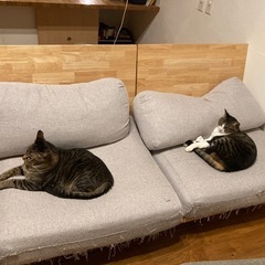 ソファーの画像