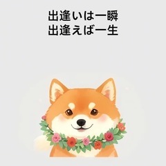 ランチ友達募集中