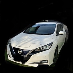 日産　リーフ　白　電気自動車