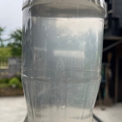 ③ゾウリムシ　ぞうりむし　針子　メダカ餌　1500ml